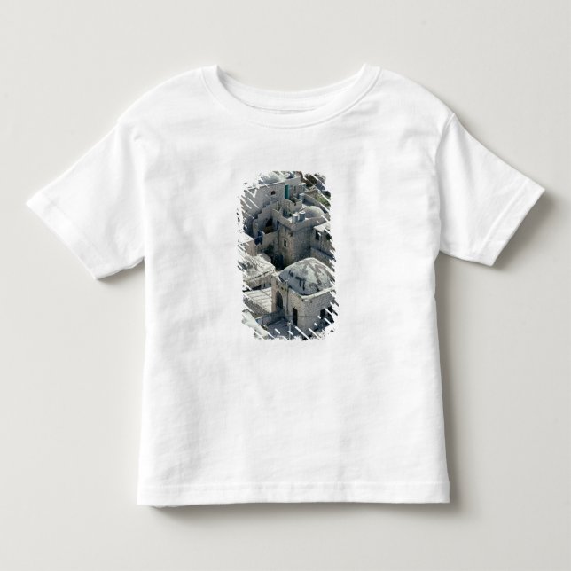 T-shirt Pour Les Tous Petits Extérieur de la tombe de David (Devant)