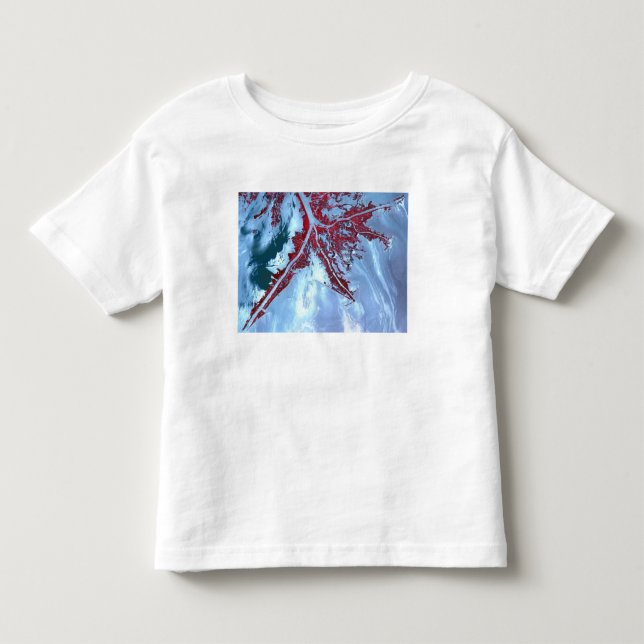 T-shirt Pour Les Tous Petits Faux satellite (Devant)