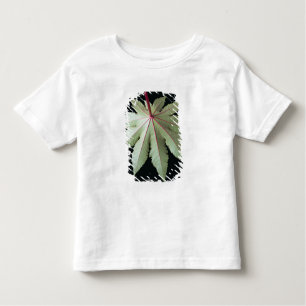 T-shirt Pour Les Tous Petits Feuille et tige