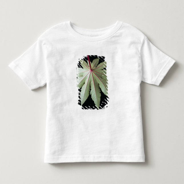 T-shirt Pour Les Tous Petits Feuille et tige (Devant)