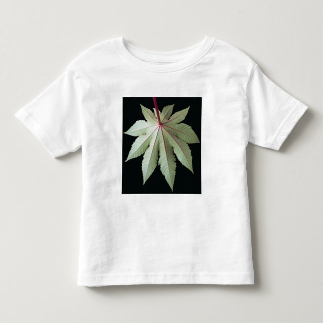 T-shirt Pour Les Tous Petits Feuille et tige (Devant)