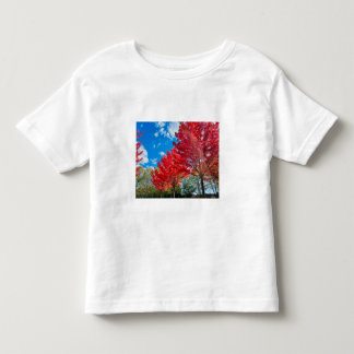 T-shirt Pour Les Tous Petits Feuilles D'Arbre Rouge Lumineux En Automne