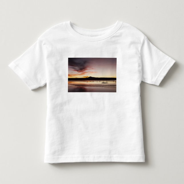 T-shirt Pour Les Tous Petits Flamant du Chili (Devant)