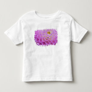 T-shirt Pour Les Tous Petits Fleur de chrysanthème décorant un lieu de sépultur