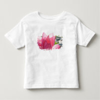 fleur de lotus [Nelumbo speciosum] en pleine