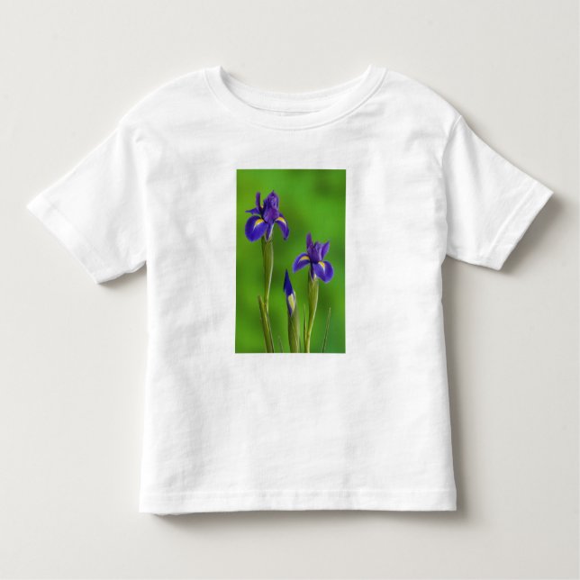T-shirt Pour Les Tous Petits Fleurs d'Iris (Devant)