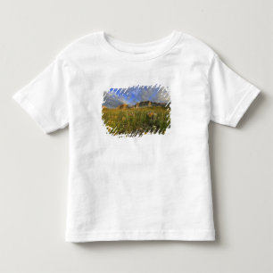 T-shirt Pour Les Tous Petits Fleurs sauvages de la prairie à Windy Creek dans l