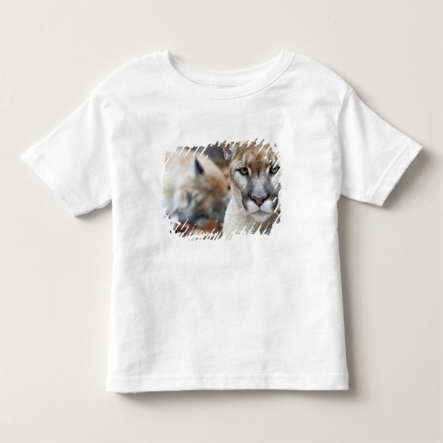 T-shirt Pour Les Tous Petits Floride Panther (Devant)