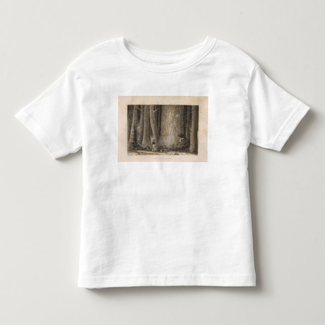 T-shirt Pour Les Tous Petits Forêt de pin, Orégon (Devant)