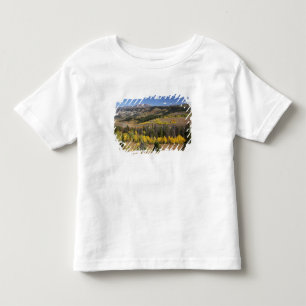 T-shirt Pour Les Tous Petits Forêt nationale de Bridger-Teton