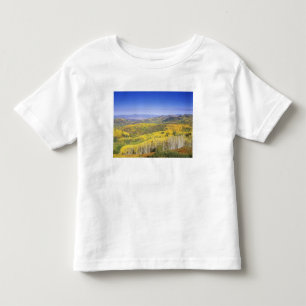 T-shirt Pour Les Tous Petits Forêt nationale de Routt en couleur d'automne, prè