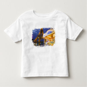 T-shirt Pour Les Tous Petits France, Paris. La tour Eiffel au crépuscule