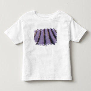T-shirt Pour Les Tous Petits France, Provence. Rangées de lavande en fleurs. 2