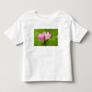 T-shirt Pour Les Tous Petits Franklin NC, jardin d'eau de Perry, Lotus