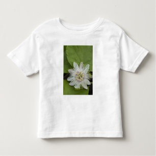 T-shirt Pour Les Tous Petits Galapagos Passiflora foetida