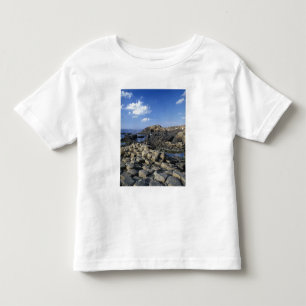 T-shirt Pour Les Tous Petits Giants Causeway, County Antrim, Nord
