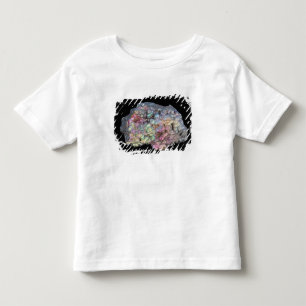 T-shirt Pour Les Tous Petits Goethite montrant l'irisation