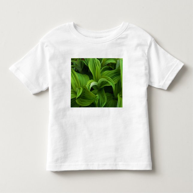 T-shirt Pour Les Tous Petits Gouttes de rosée sur un Helabore faux (Devant)