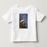 Grand Héron bleu oiseau aquatique