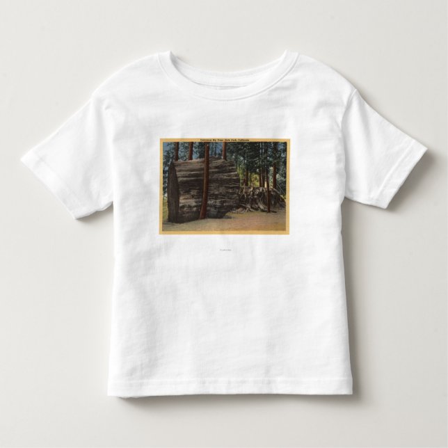 T-shirt Pour Les Tous Petits Grand parc d'état d'arbres de Calaveras (Devant)