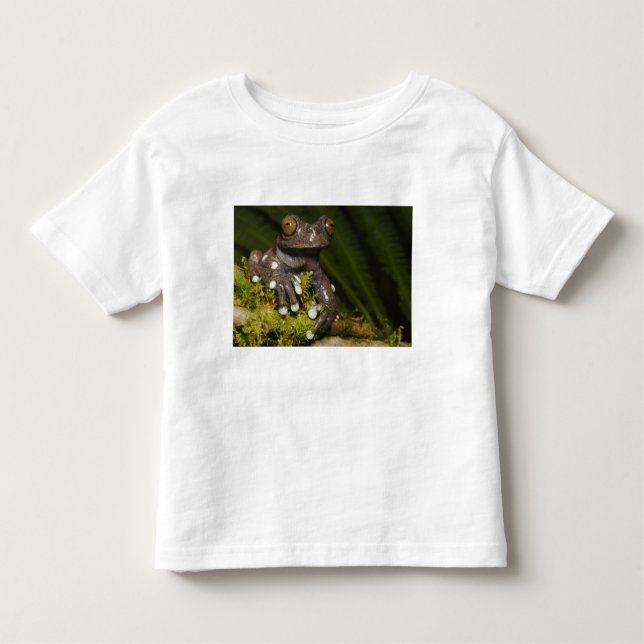 T-shirt Pour Les Tous Petits Grenouille captive Tapichalaca Hyloscirtus 3 (Devant)