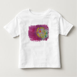 T-shirt Pour Les Tous Petits Gros plan de l'estomac à fleurs d'Hibiscus, Hibisc