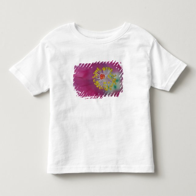 T-shirt Pour Les Tous Petits Gros plan de l'estomac à fleurs d'Hibiscus, Hibisc (Devant)