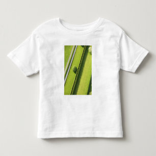 T-shirt Pour Les Tous Petits Haie dans le Hamptons