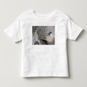 T-shirt Pour Les Tous Petits Hausses d'une plume de riches de cendre