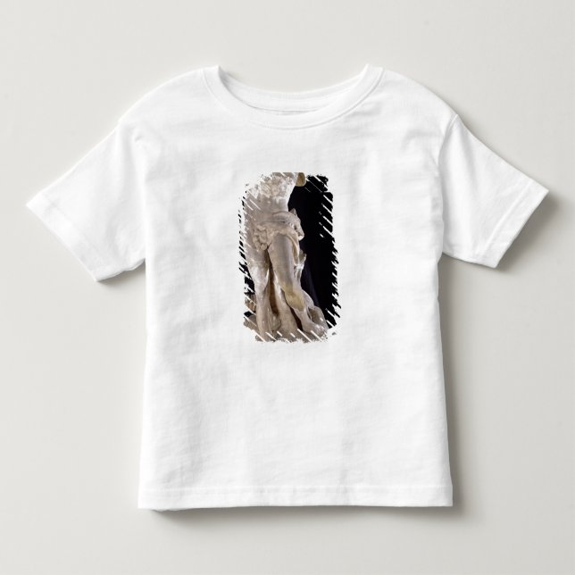 T-shirt Pour Les Tous Petits Hercule combattant l'hydre de Lernaean (Devant)
