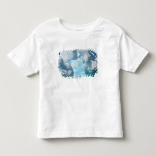T-shirt Pour Les Tous Petits Icebergs au large de la pointe sud de l'Amérique d