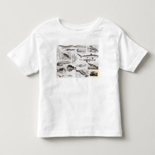 T-shirt Pour Les Tous Petits Ichtyologie Elasmobranch, Ganoid