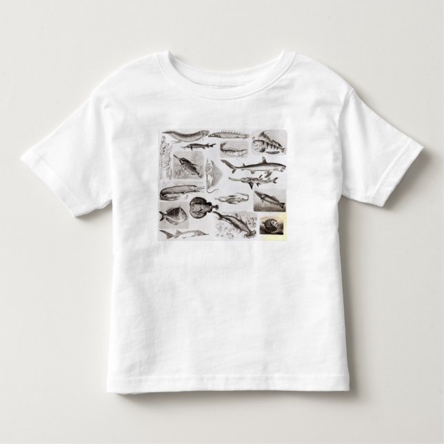 T-shirt Pour Les Tous Petits Ichtyologie Elasmobranch, Ganoid (Devant)