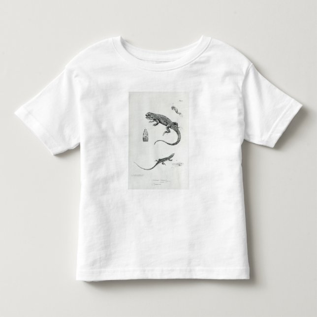 T-shirt Pour Les Tous Petits Iguane décalé (Devant)