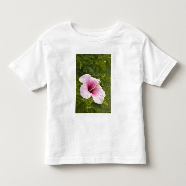 T-shirt Pour Les Tous Petits Îles Cook, Atiu. Fleur d'Hibiscus. (Devant)