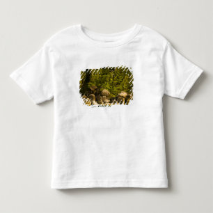T-shirt Pour Les Tous Petits îles Similan, parc national marin près de