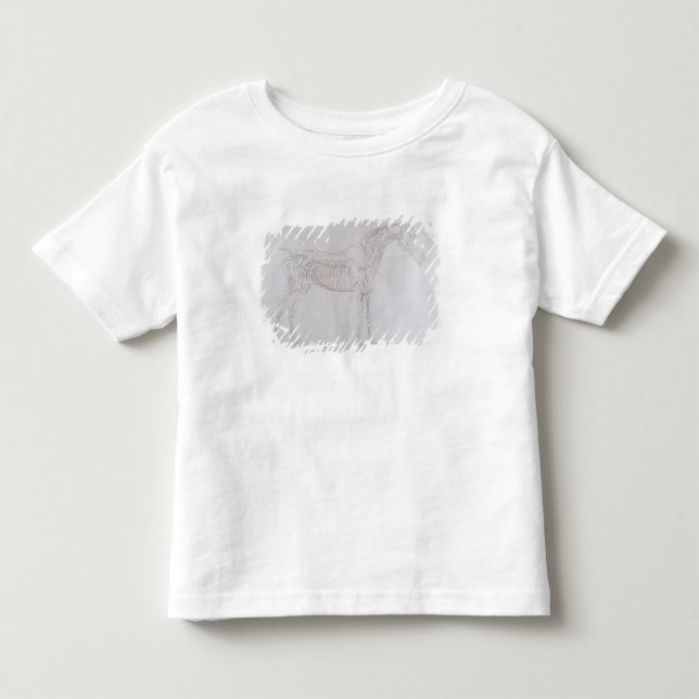 T-shirt Pour Les Tous Petits Illustration de George Stubbs | 'de l'anatomie de (Devant)