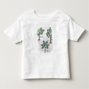 T-shirt Pour Les Tous Petits Illustration du 'livre des médecines simples