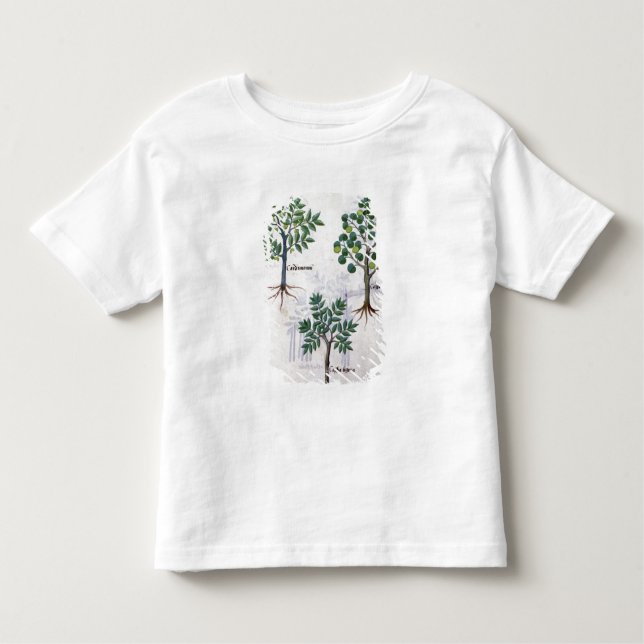 T-shirt Pour Les Tous Petits Illustration du 'livre des médecines simples (Devant)