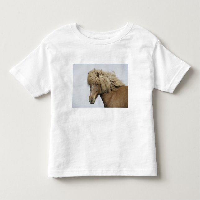 T-shirt Pour Les Tous Petits Islande. Portrait de cheval islandais. (Devant)
