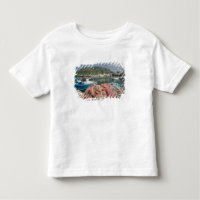 ITALIE, Campanie, (Baie de Naples), ISCHIA, FORIO