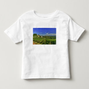 T-shirt Pour Les Tous Petits Italie, Toscane, Greve. Les vignobles de Castello