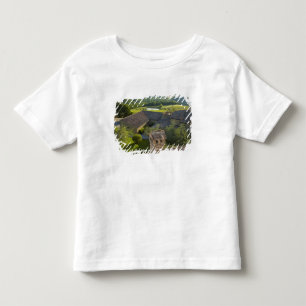 T-shirt Pour Les Tous Petits Italie, Toscane. Vue sur les toits de la villa