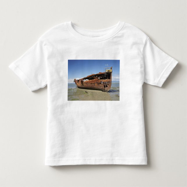T-shirt Pour Les Tous Petits Janie Seddon Shipwreck, Motueka, Nelson (Devant)