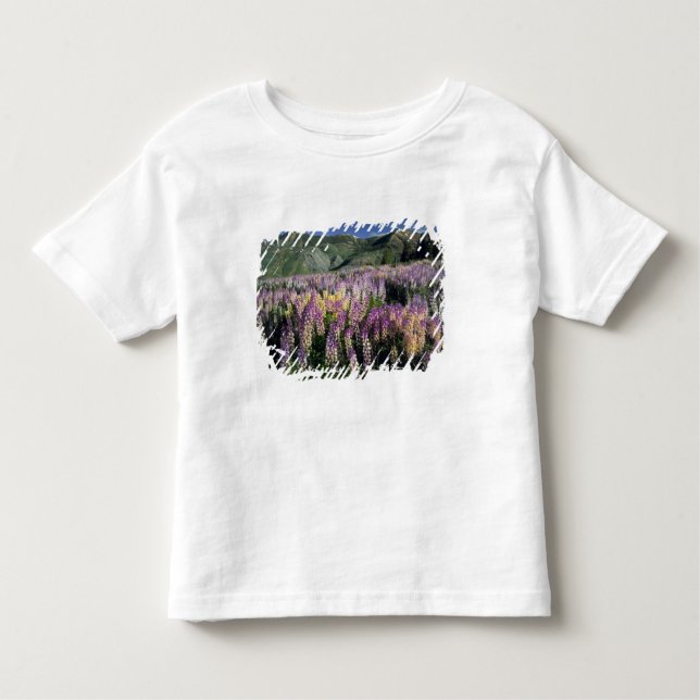 T-shirt Pour Les Tous Petits JARBIDGE WILDERNESS, NEVADA. USA. Lupine d'épi (Devant)