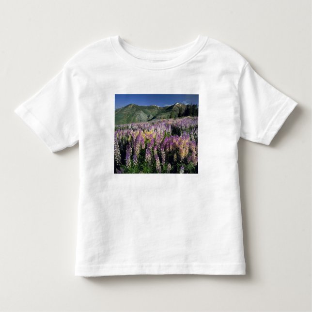 T-shirt Pour Les Tous Petits JARBIDGE WILDERNESS, NEVADA. USA. Lupine d'épi (Devant)