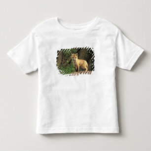 T-shirt Pour Les Tous Petits Jeune renard roux devant son terrier (Vulpes vulpe