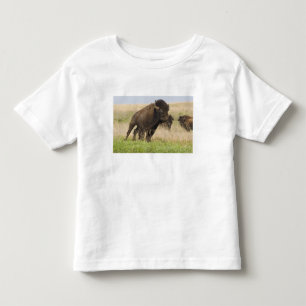 T-shirt Pour Les Tous Petits Jeune taureau de bison fougueux à la Tallgrass