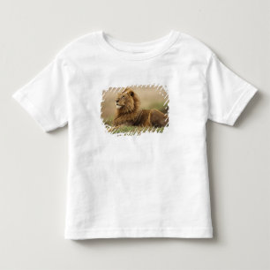 T-shirt Pour Les Tous Petits Kenya, Masai Mara Lion mâle
