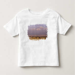 T-shirt Pour Les Tous Petits Kenya : Parc national d'Amboseli, Eléphants